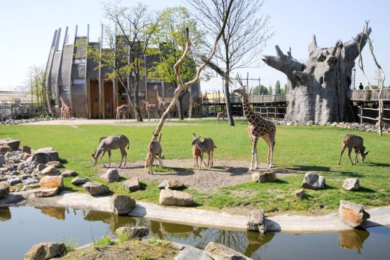 Rotterdam: Rotterdam Zoo Blijdorp Entry Ticket - FAQ