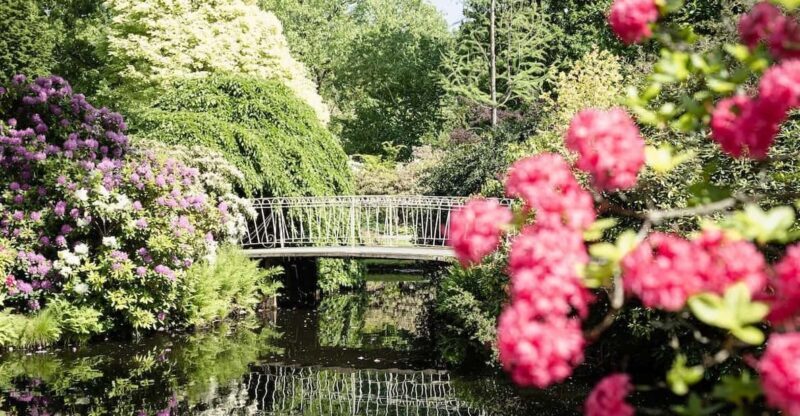 Rotterdam: Trompenburg Botanical Gardens Entry Ticket - Key Points
