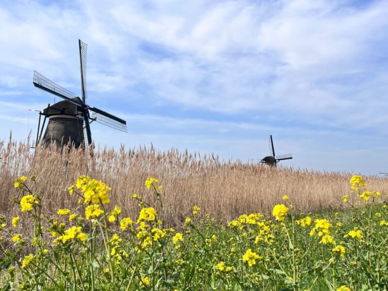 Rotterdam: Waterbus Ticket to Dordrecht and/or Kinderdijk - A Full Look at the Waterbus Experience from Rotterdam