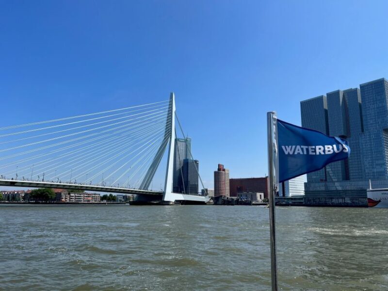 Rotterdam: Waterbus Ticket to Dordrecht and/or Kinderdijk - Practical Tips for Your Waterbus Trip