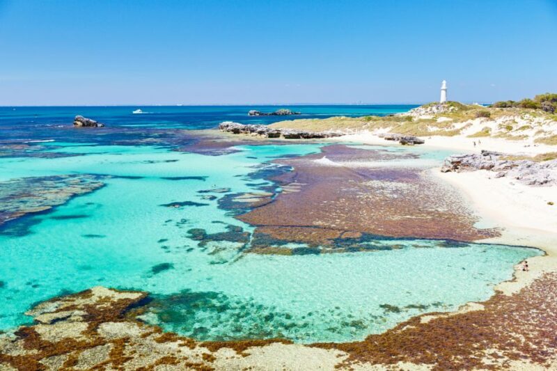 Rottnest Grand Island Package with Ferry, Tour & Light Lunch - Wildlife & Nature: The Quokka Connection