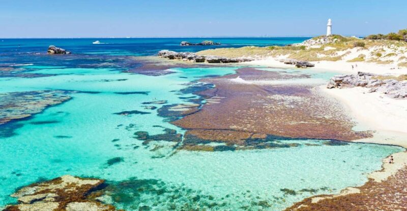 Rottnest Grand Island Package with Ferry, Tour & Light Lunch - The Guides: Knowledgeable and Engaging