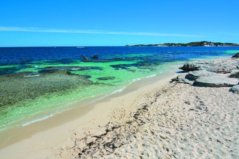 Rottnest Grand Island Package with Ferry, Tour & Light Lunch - The Transport: Comfort and Practicalities