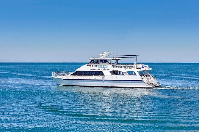 Rottnest Island Boat Dive Day Trip including Lunch - Discovering the Rottnest Island Boat Dive Day Trip — A Practical Guide
