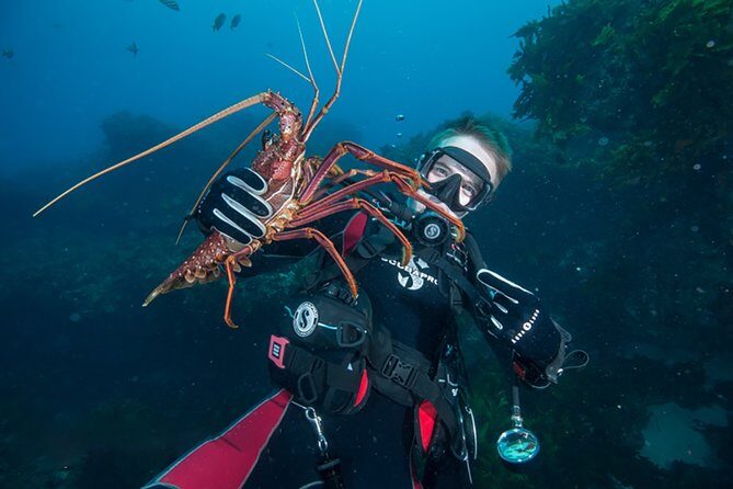 Rottnest Island Deep Dive Day Trips - Discover Rottnest Island Deep Dive Day Trips: An Adventure for Enthusiastic Divers