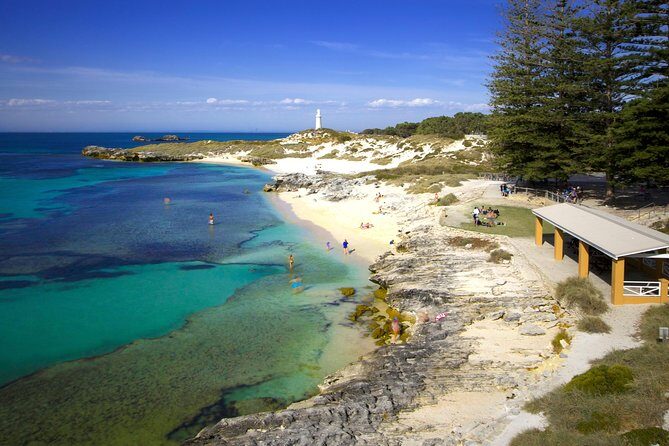 Rottnest Island Fast Ferry from Hillarys Boat Harbour Including Bike Hire - A Deep Dive into the Rottnest Island Experience