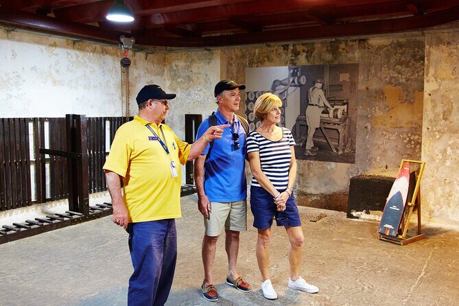 Rottnest Island Historical Train and Tunnel Tour from Hillarys Boat Harbour - Key Points