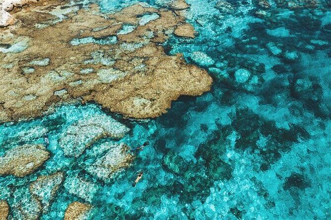 Rottnest Island Round Trip Ferry from Fremantle - Experience the Charm of Rottnest Island on a Ferry from Fremantle