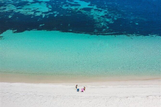 Rottnest Island Round Trip Ferry from Fremantle - Key Points