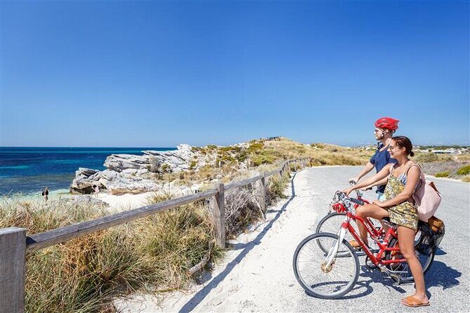 Rottnest Island Round Trip Ferry from Fremantle - The Sum Up: Why Choose This Rottnest Island Day Trip?