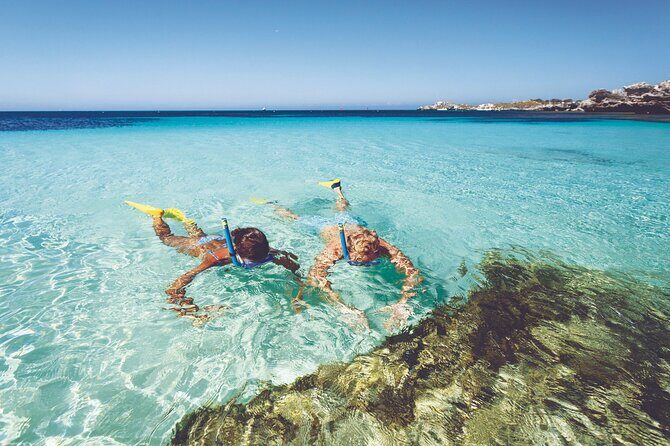 Rottnest Island Round-Trip Ferry from Perth - Experience the Beauty of Rottnest Island on a Round-Trip Ferry from Perth