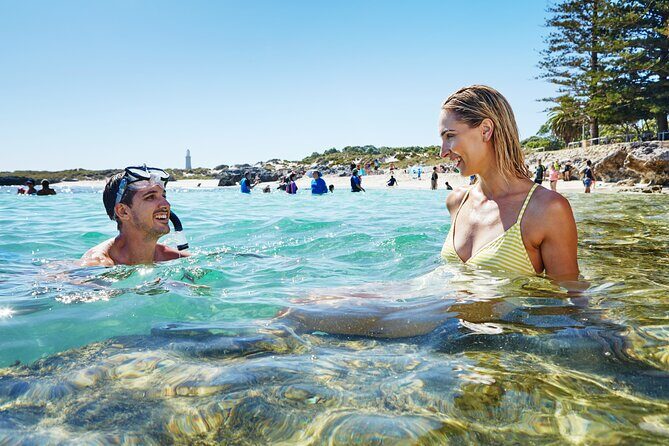 Rottnest Island Roundtrip Fast Ferry from Hillarys Boat Harbour - Quick Overview of the Rottnest Island Fast Ferry Experience