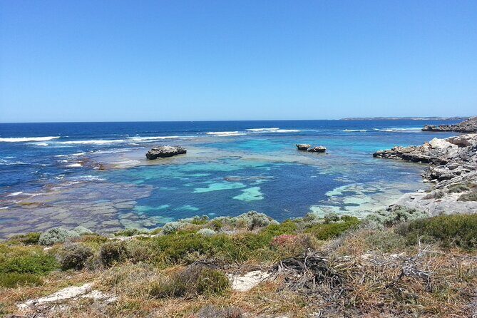 Rottnest Island Scenic Flight or 1/2 Day stopover - Final Thoughts: Who Will Love This Tour?