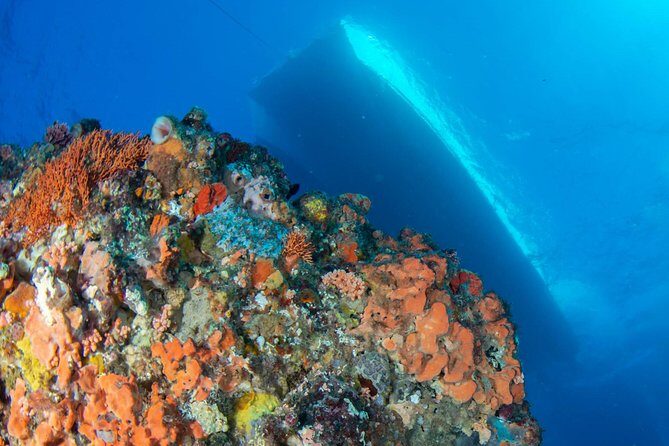 Rottnest Island scuba dive tour - Why We Love This Tour