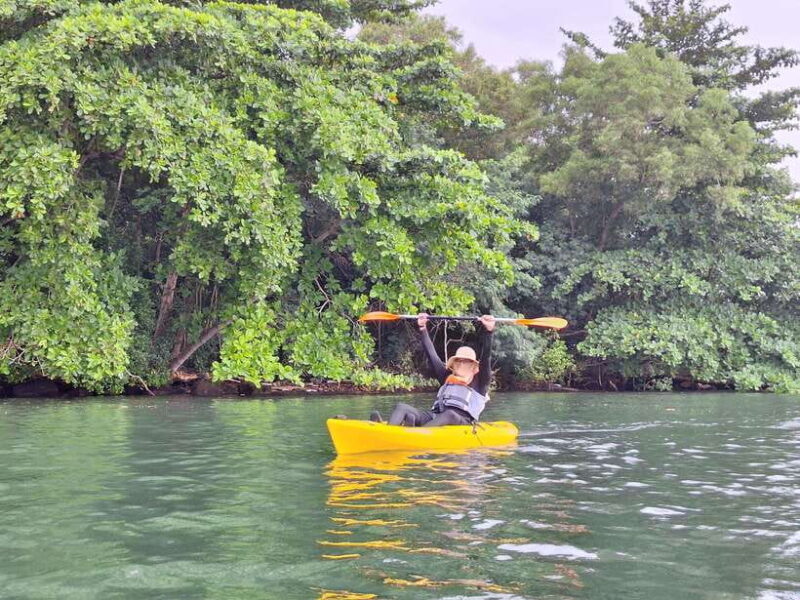 Round Ketam Kayaking at Pulau Ubin - Key Points