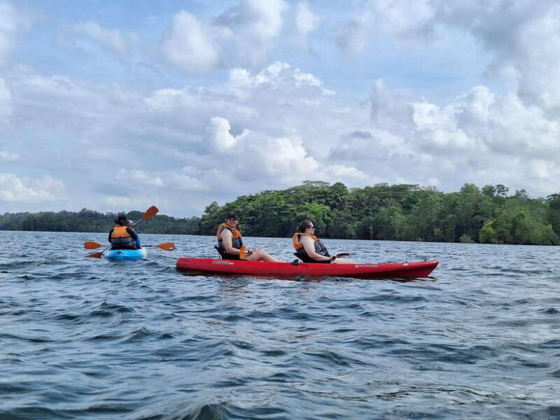 Round Ketam Kayaking at Pulau Ubin - The Sum Up
