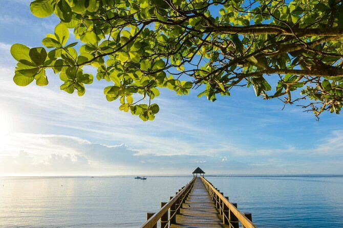 Round The Island Day Trip Fiji- Viti Levu - FAQs About the Round-the-Island Fiji Tour