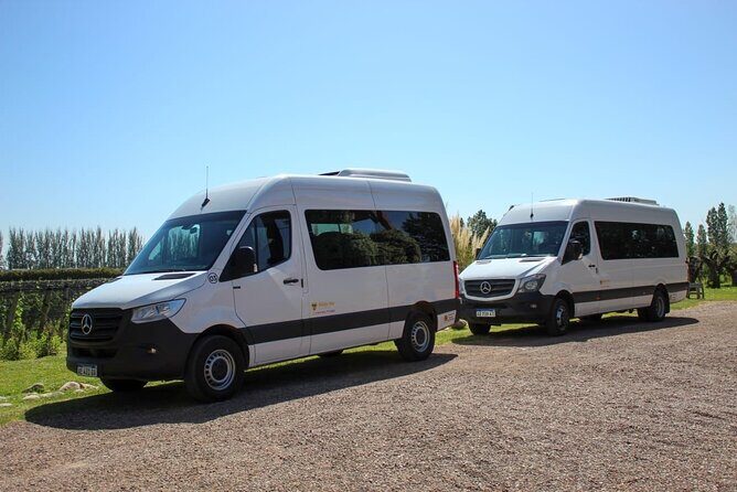 Round Transportation from the Airport to the Province of Mendoza - Who Will Love This Service?