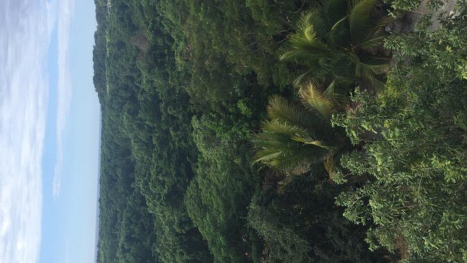 Round trip airport hotel transfer MBJ-Negril - An In-Depth Look at the Transfer Experience