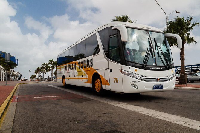 Round Trip Aruba Airport Transfer - Who Should Consider This Service?