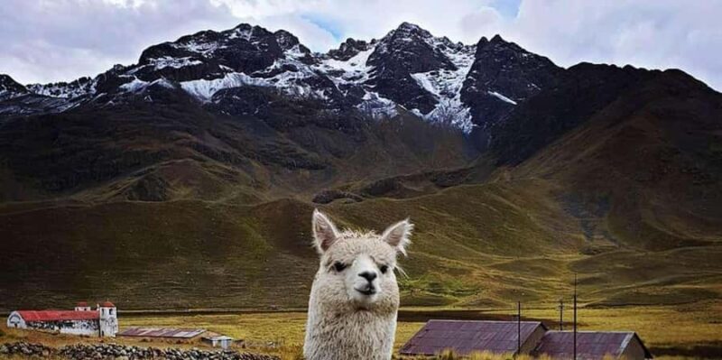 Round trip Cusco: Route of the sun + 2D in Puno with hotel - Final Thoughts