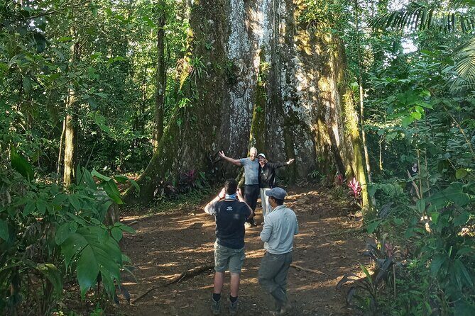 Round Trip Liberia Airport Guanacaste, Arenal La Fortuna - Key Points