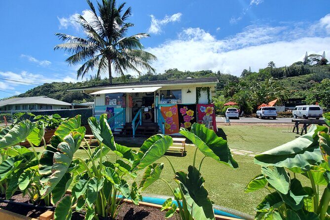 Round Trip North Shore Shuttle from Waikiki to Haleiwa Town / Haleiwa Harbor - The Sum Up: Who Should Consider This Tour?