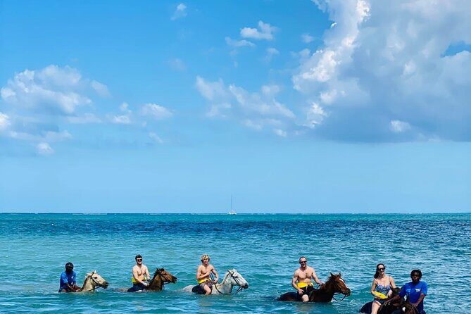 Round Trip Private Transfer from Montego Bay Airport to the City - Who Is This Transfer Best For?