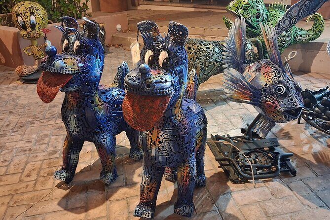 Round Trip Private Trip Los Cabos-San Jose Cabo Airport - Key Points