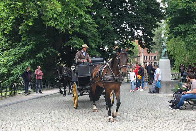 Round-Trip Shuttle Service from Zeebrugge to Bruges - The Detailed Breakdown of the Experience
