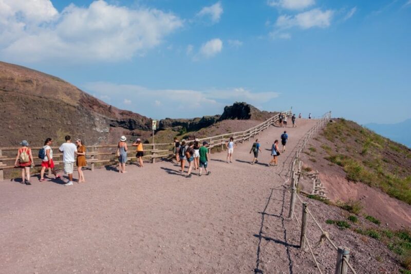 Round-Trip to Vesuvius National Park From Ercolano - Who Should Book This Tour?