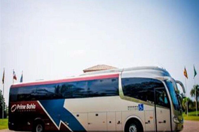 Round trip transfer, Salvador, Bahia, Brazil - Who Is This Transfer Best For?