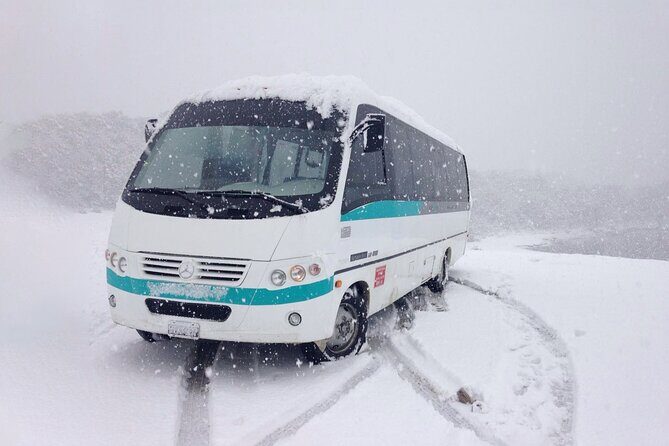 Round trip transfer to Cerro Castor - Key Points