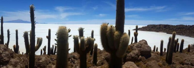 Roundtrip to the Uyuni Salt Flat and the Colored Lagoons - FAQs