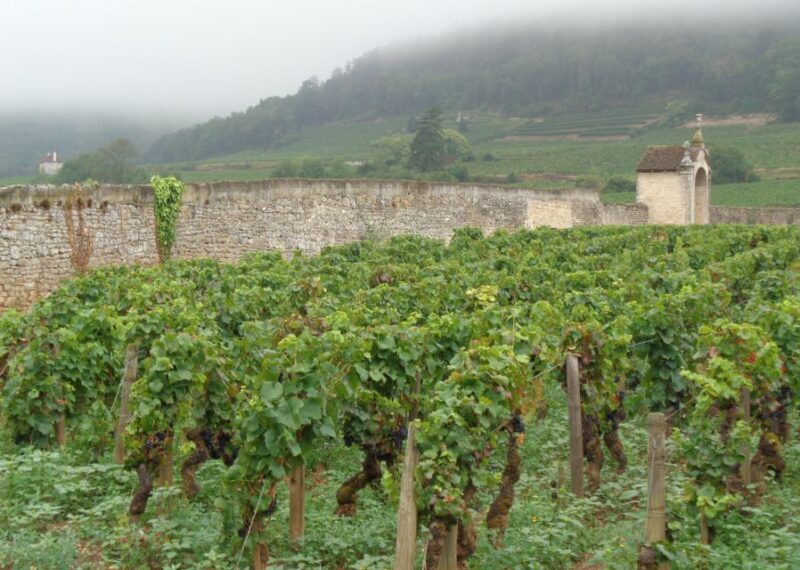 "Route des grands crus", private wine tasting in Burgundy ! - The Itinerary Breakdown: From Vineyards to Villages