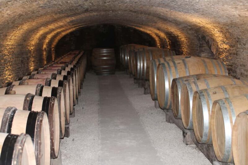 "Route des grands crus", private wine tasting in Burgundy ! - Price and Value