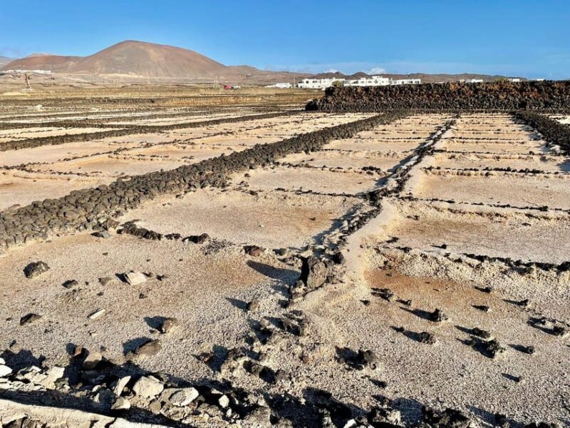 Route guided on the volcanic coast of Lanzarote. - A Deep Dive into the Lanzarote Coastal Trek