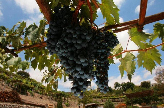 Route of Pisco, Toro Muerto and Querulpa - Final Verdict: Is It Worth It?