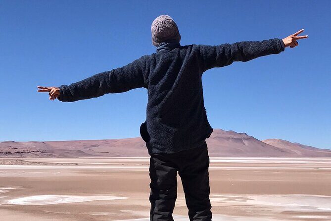 Route of the Salares - Route of the Salares: A Full-Day Adventure through the Atacamas Natural Marvels