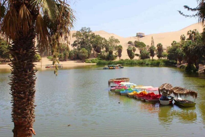 Route South 12 days : Lima-Ica-Arequipa-Puno-Cusco - Who Should Consider This Tour?