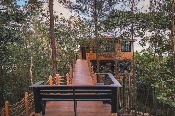 Route through Dominican Republic by 4x4 jeep - Exploring the Dominican Republic by 4x4 Jeep: A Deep Dive