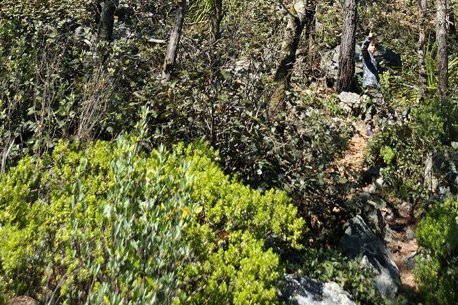 Route to the Peñas Cuatas Science Forest and Adventure - Who Will Love This Tour?