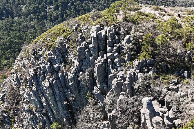 Route to the Peñas Cuatas Science Forest and Adventure - The Sum Up: Is This Tour Worth It?