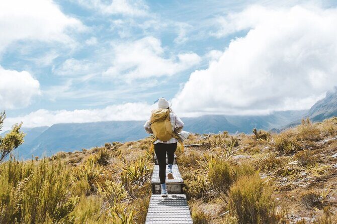 Routeburn Guided Day Hike from Te Anau with Lunch & Transport - An In-Depth Look at the Routeburn Guided Day Hike from Te Anau