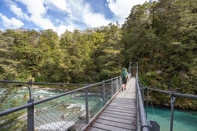 Routeburn Track Guided Walk (Half-Day) - An In-Depth Look at the Routeburn Track Guided Walk