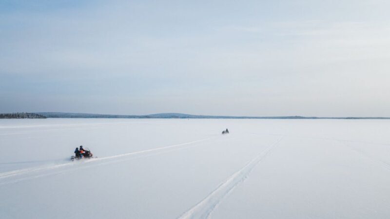 Rovaniemi: 3-Hour Snowmobile Safari in Lapland - Who Should Consider This Tour?