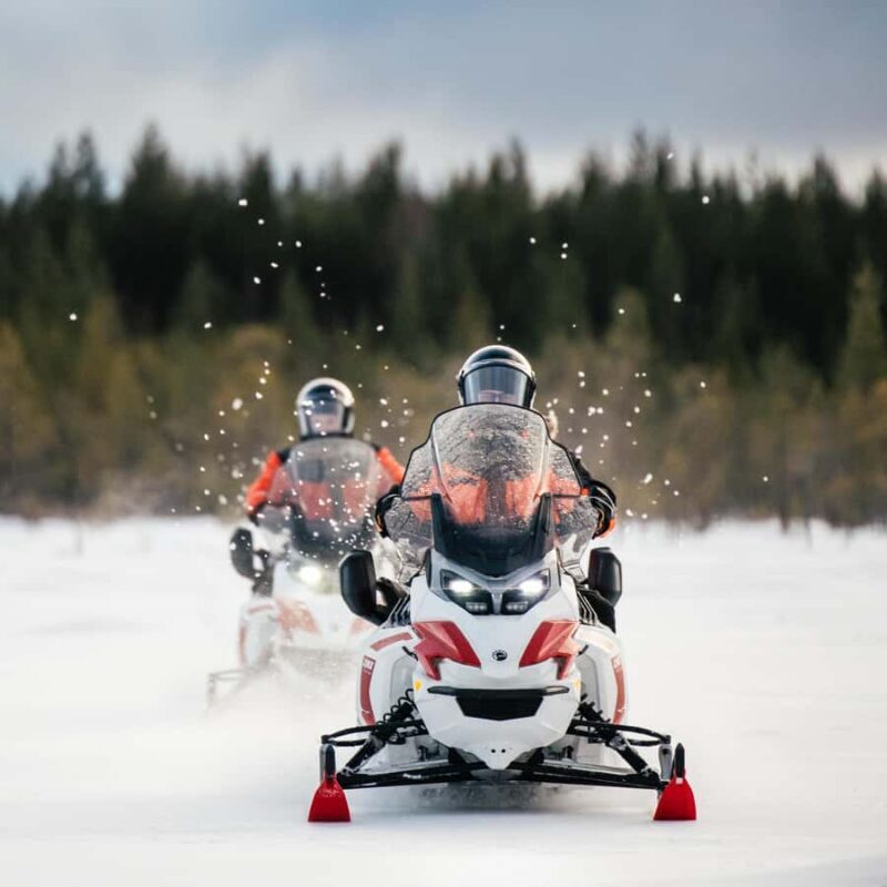 Rovaniemi: 3h Electric Snowmobile Safari at Reindeer Farm - Exploring the Experience in Detail