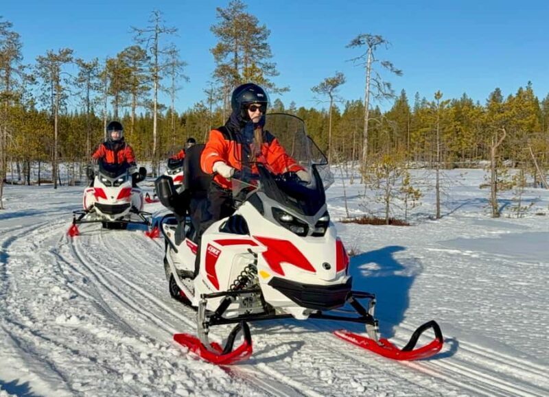 Rovaniemi: 4h Electric Snowmobile Safari at Reindeer Farm - Key Points