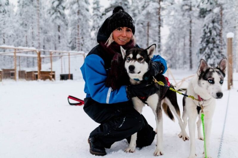 Rovaniemi: Apukka Husky Adventure 7km, self-driven - A Glimpse into the Husky Adventure