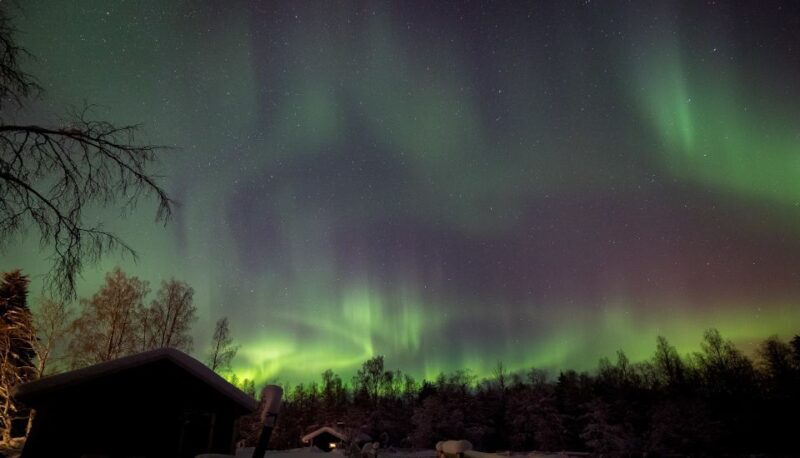 Rovaniemi: Apukka Reindeer Sleigh Ride at Night - A Complete Picture of the Tour Experience